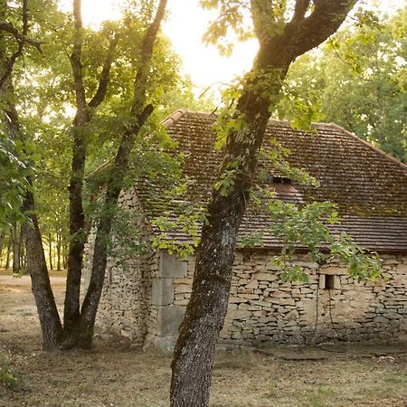 Hotel Le Bois De Faral Le Bastit Zewnętrze zdjęcie