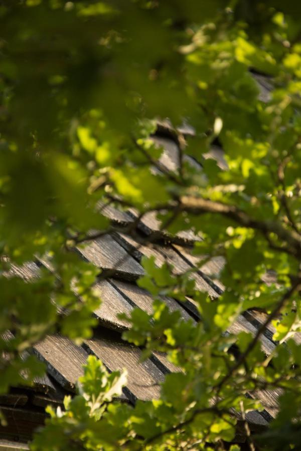 Hotel Le Bois De Faral Le Bastit Zewnętrze zdjęcie
