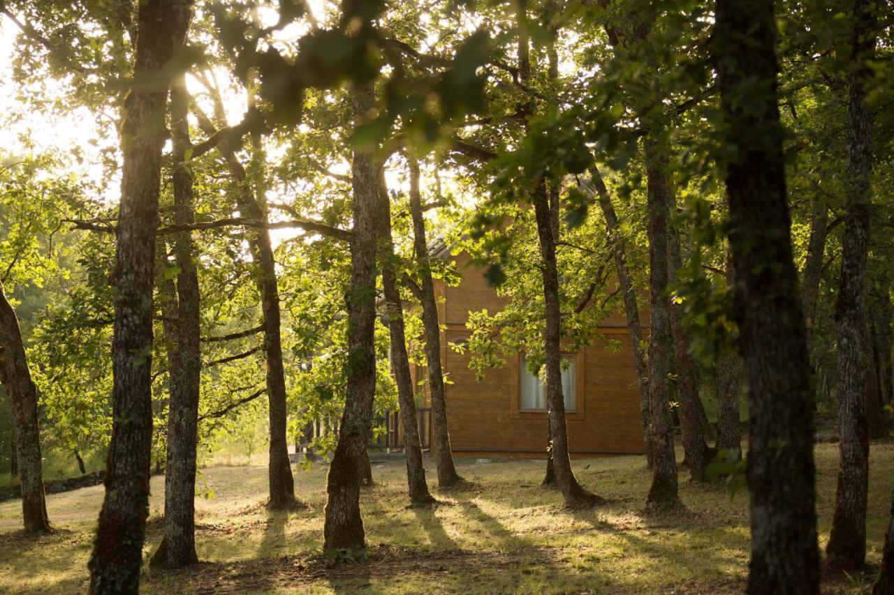 Hotel Le Bois De Faral Le Bastit Zewnętrze zdjęcie